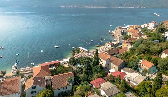 Đenovići