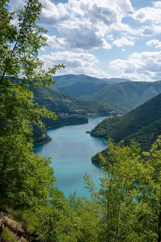 Plužine